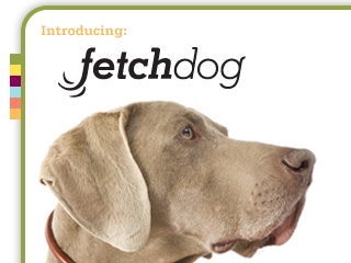 FetchDog dog catalog site